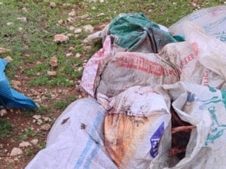 Şanlıurfa'da çuvallarda kesilmiş at başı bulundu