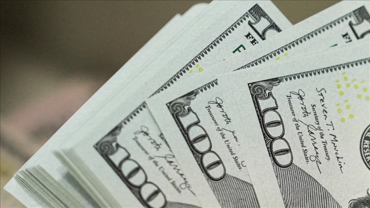 Döviz Dönüşümlü Kur Korumalı Mevduat bakiyesi 40 milyon dolara geriledi