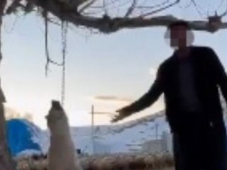 Kayseri'de bir şahıs çok yediği için köpeğini asarak öldürdü