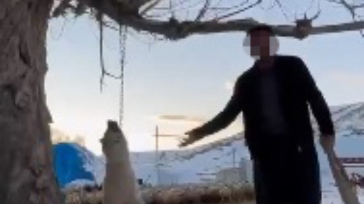 Kayseri'de bir şahıs çok yediği için köpeğini asarak öldürdü