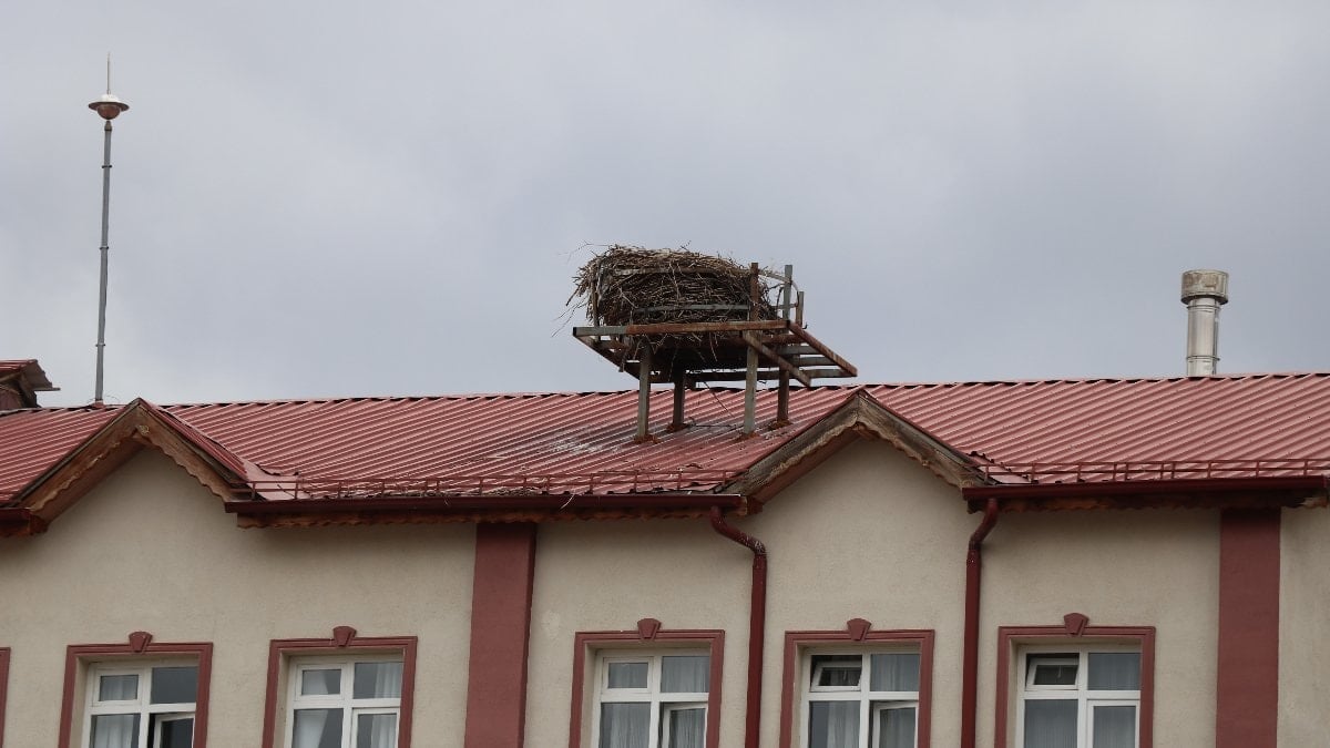 Sivas’ta baharın simgesi leylekler bu yıl gecikti: Öğrenciler özlemle bekliyor