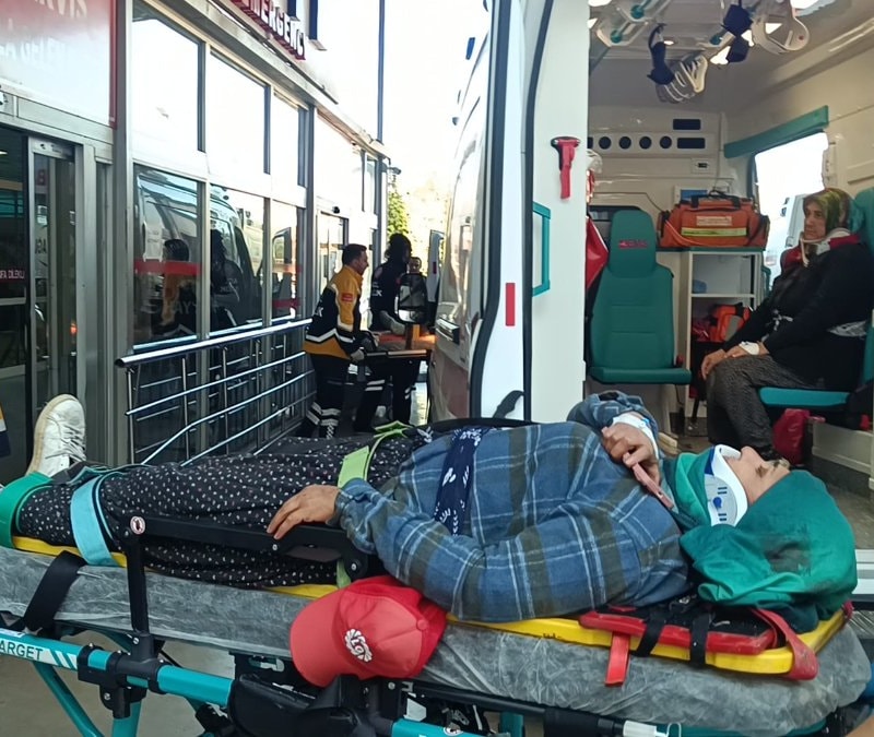 Adana'da tarım işçilerini taşıyan minibüs kaza yaptı