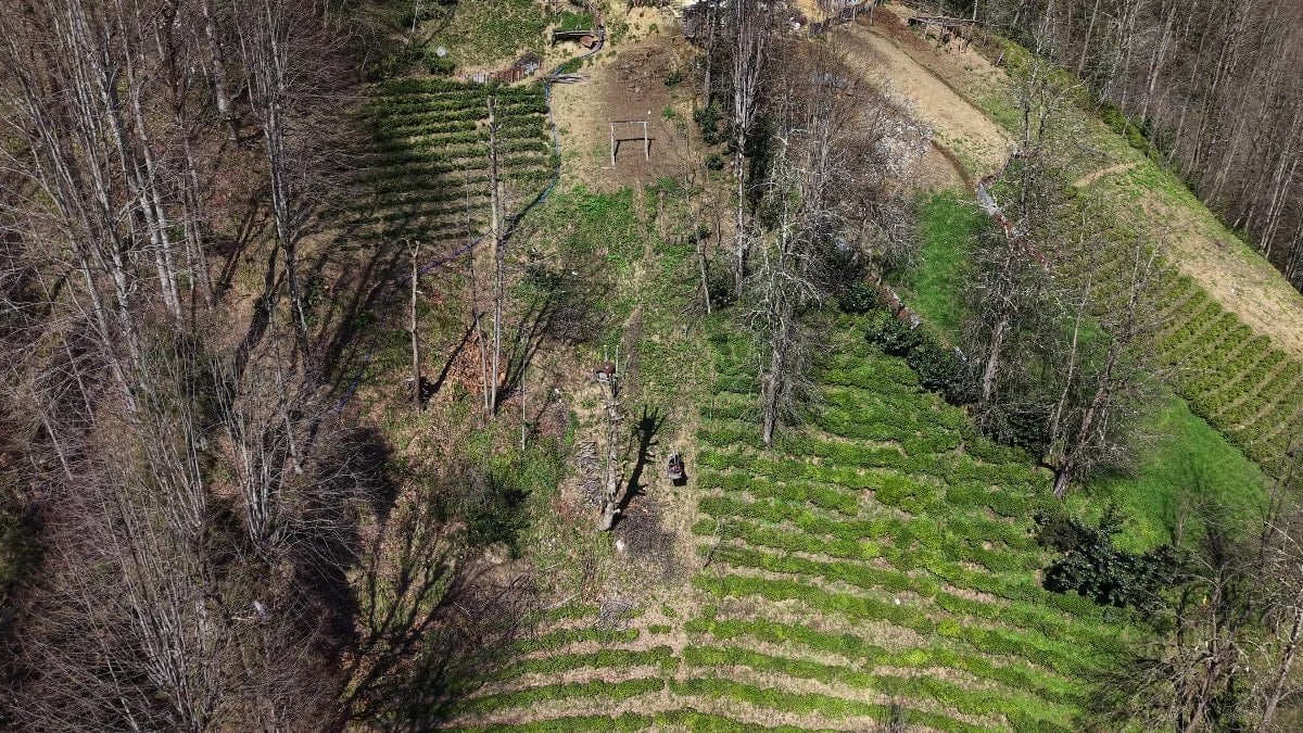 Rize'de yolu omayan evine çelik tel ile gidiyor