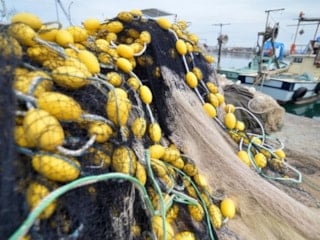 Av yasağı tarihleri 2026: Denizlerde av yasağı başladı mı