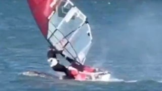 ABD'de sörf yapan bir vatandaş balina ile çarpıştı