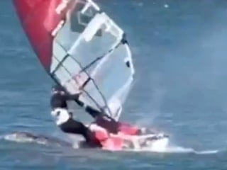 ABD'de sörf yapan bir vatandaş balina ile çarpıştı