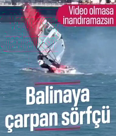 ABD'de sörf yapan bir vatandaş balina ile çarpıştı