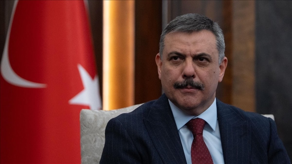 Mustafa Çiftçi: Sahipsiz sokak hayvanlarının yüzde 75'i şu anda toplanmış durumda