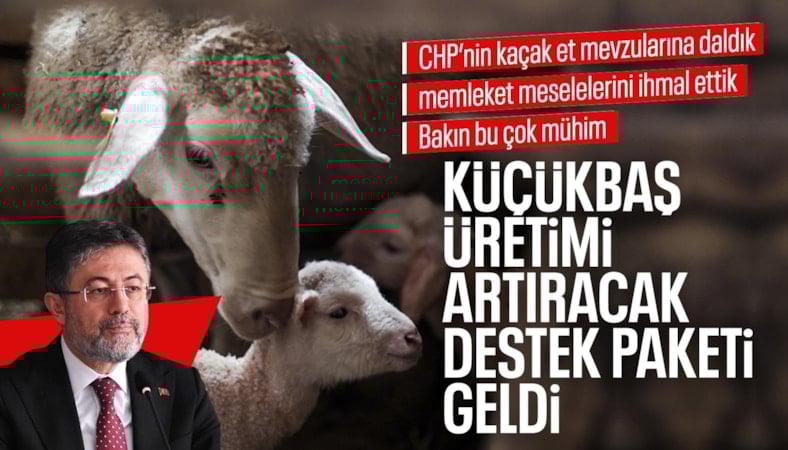 İbrahim Yumaklı duyurdu: Kırsalda Bereket Küçükbaşa Destek projesine başvurular açıldı