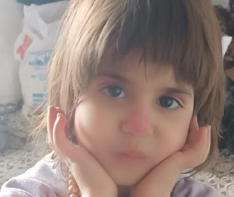 Bitlis'te kaybolan 4 yaşındaki kız çocuğu için arama çalışmaları başlatıldı