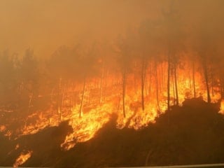 Türkiye'de geçen yıl 3 bin 224 orman yangını çıktı