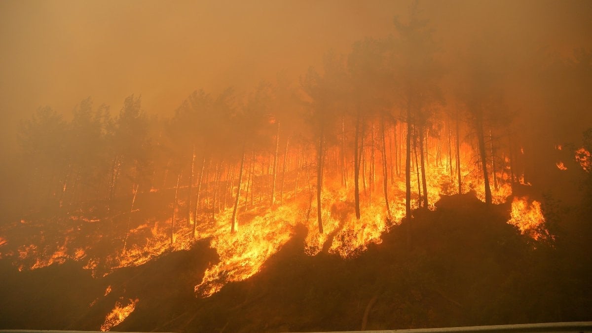 Türkiye'de geçen yıl 3 bin 224 orman yangını çıktı