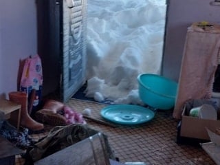 Trabzon yaylalarında ayılara kapı dayanmıyor