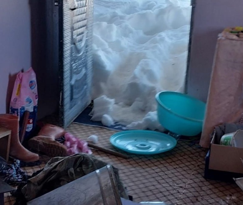 Trabzon yaylalarında ayılara kapı dayanmıyor