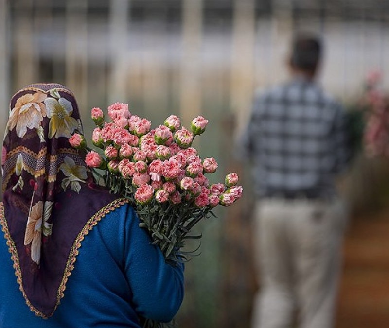 Anneler Günü ne zaman 2026: Anneler Günü kutlama tarihi