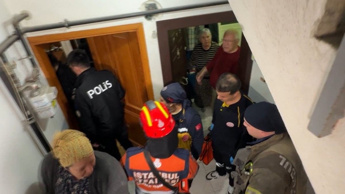 İstanbul'da köpekleriyle uyuya kaldı, öldü sandılar