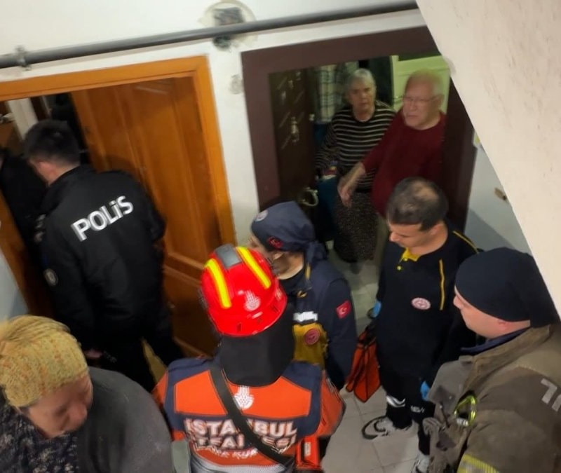 İstanbul'da köpekleriyle uyuya kaldı, öldü sandılar