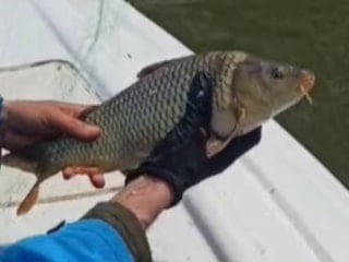 Kovada Gölü’nde 600 metrelik ağ ele geçirildi