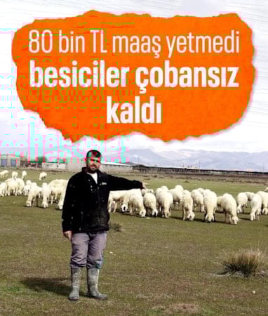 Kayseri'de çoban kıtlığı yaşanıyor: 80 bin lira maaş yeterli gelmiyor