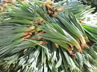 Dağlardan gelen antibiyotik: Sadece 2 ay satılıyor