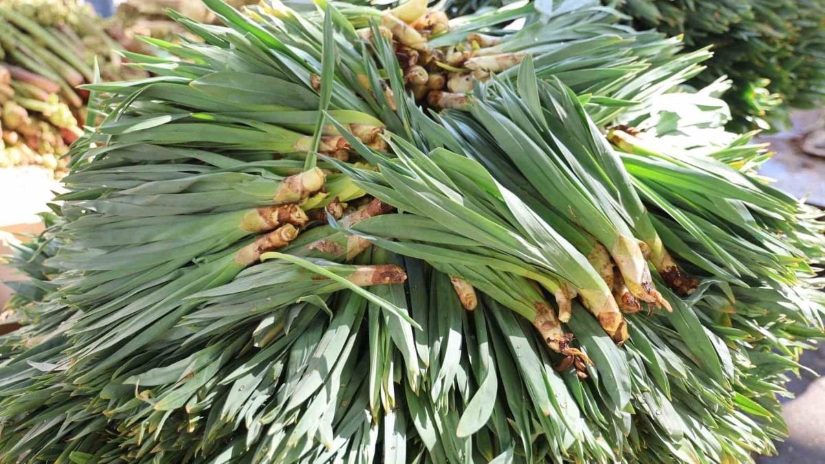 Dağlardan gelen antibiyotik: Sadece 2 ay satılıyor