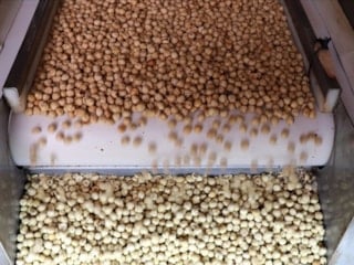 Türkiye'ye, fındık ihracatından 7 ayda 1,4 doları aşkın gelir