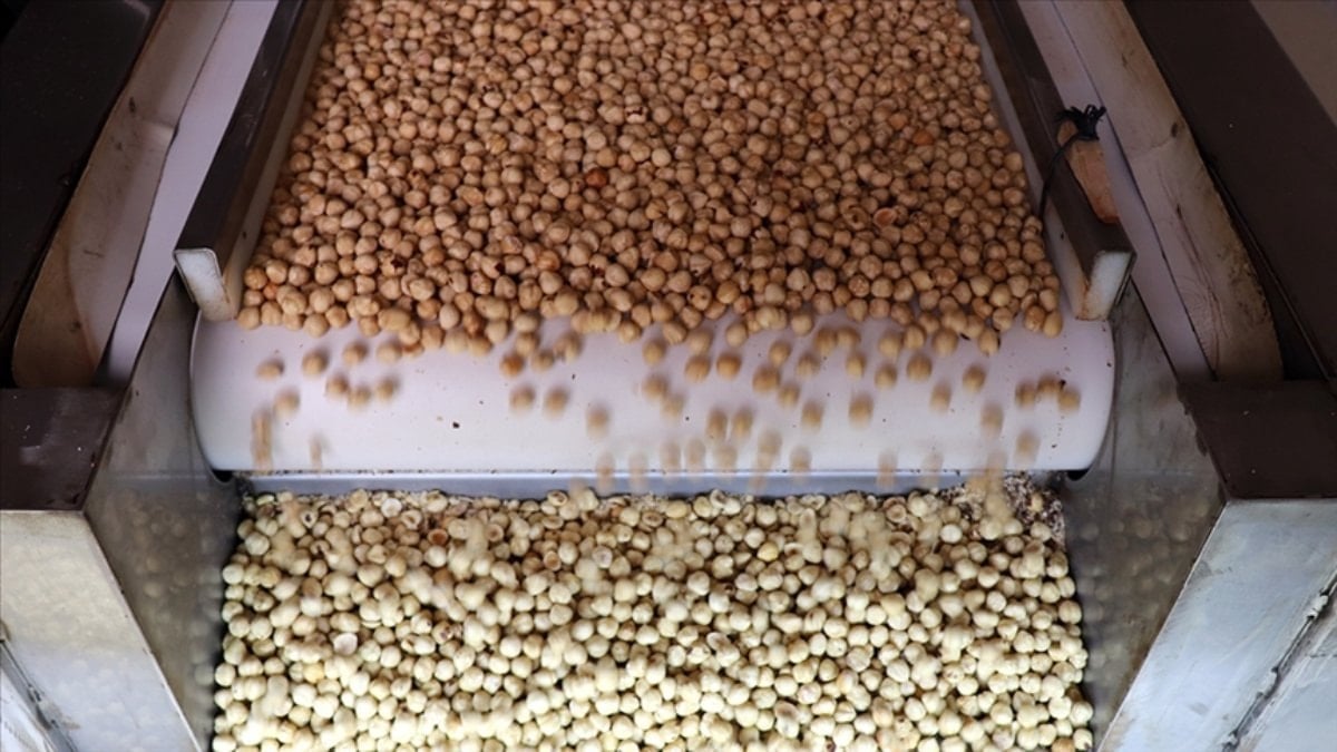 Türkiye'ye, fındık ihracatından 7 ayda 1,4 doları aşkın gelir