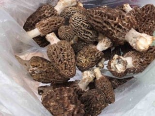 Köylü her yerde onu arıyor: Tadı et gibi ama toprakta yetişiyor