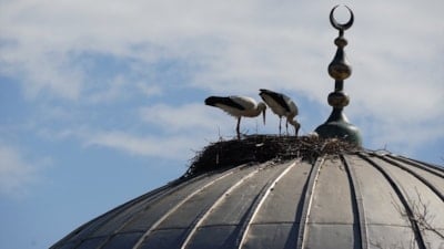Tekirdağ’daki cami kubbesi 11 yıldır leyleklerin yuvası oldu