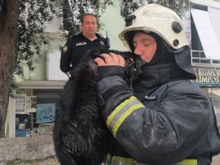 Antalya’da itfaiye eri dumandan etkilenen kediyi hayata döndürdü