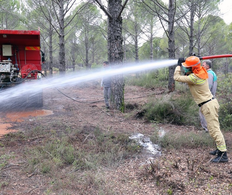 Ateş savaşçıları Muğla'da sahada: Ormancılık yarışmalarında nefes kesen mücadele