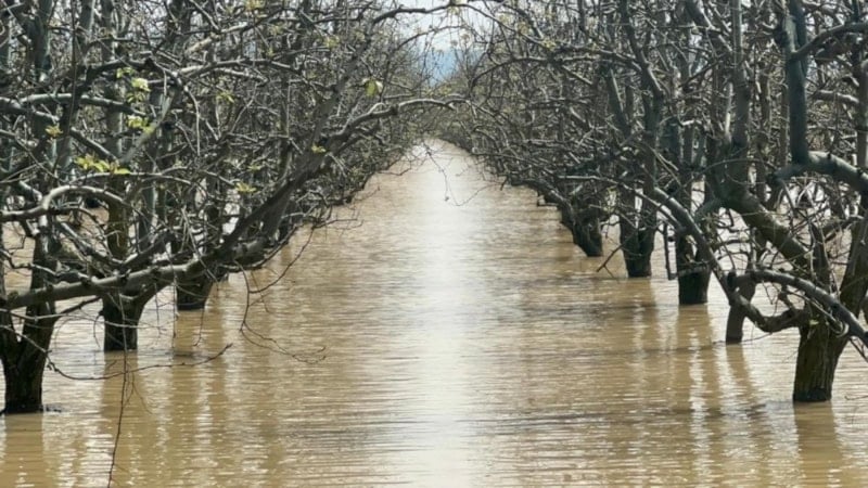 Bursa'da barajlar doldu, dereler coştu