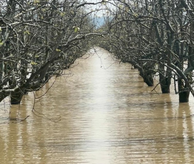 Bursa'da barajlar doldu, dereler coştu