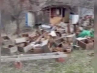 Bayburt'ta ayı, elektrikli tellerinde altından girerek bala ulaştı