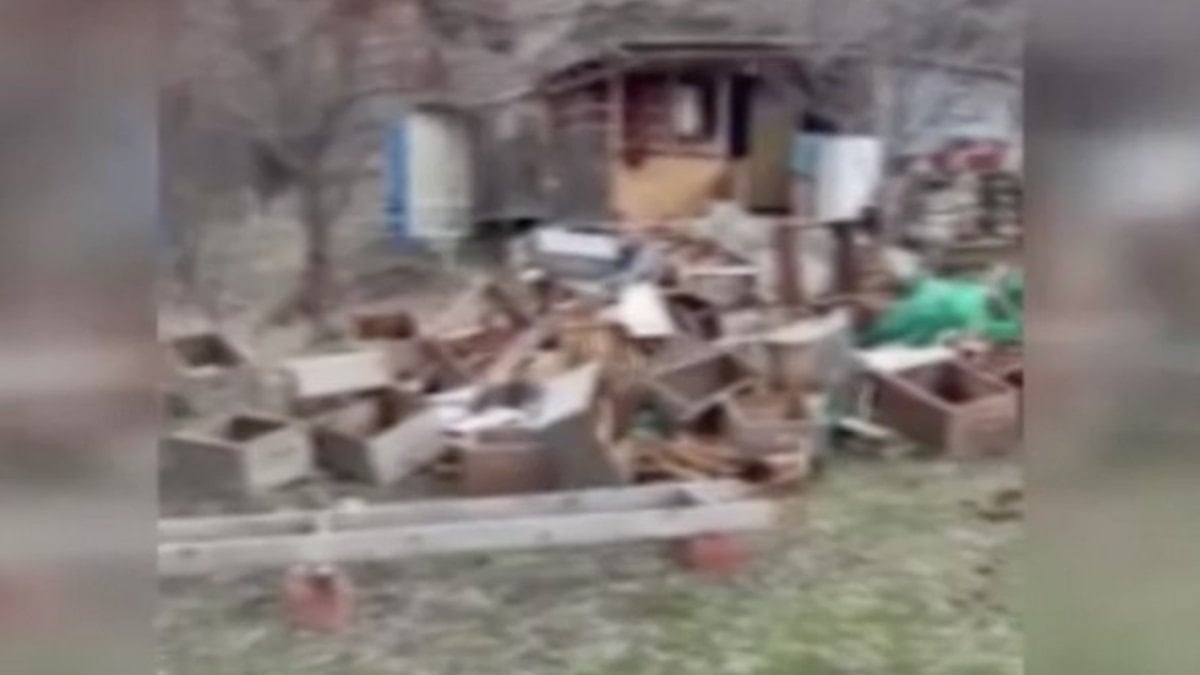 Bayburt'ta ayı, elektrikli tellerinde altından girerek bala ulaştı