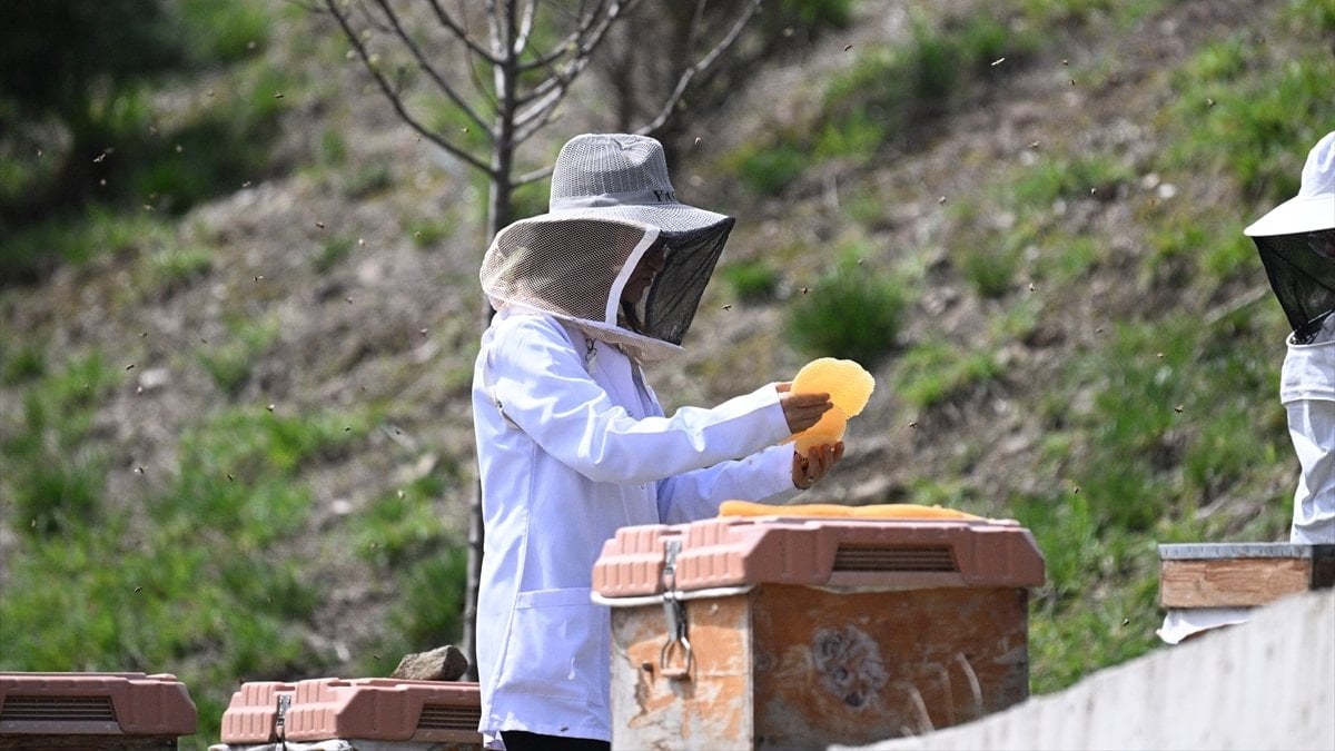Türkiye, 'Arıcılık Olimpiyatları'na ev sahipliği yapacak