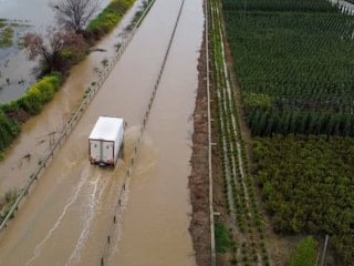 İzmir’de sağanak: Tarlalar ve yollar sular altında