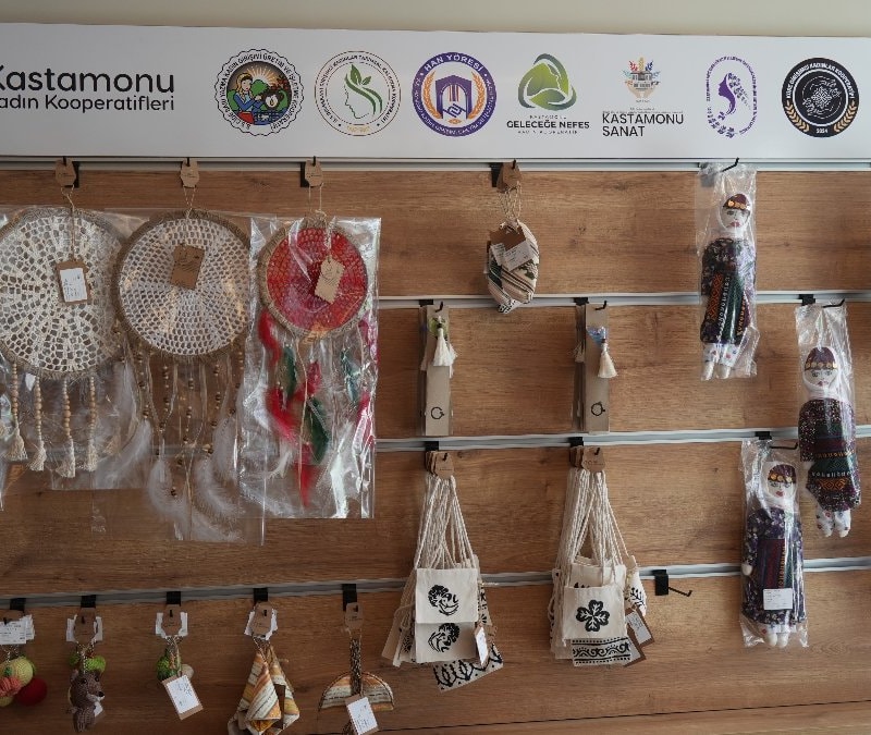 Kastamonu'da Türkiye’nin ilk 'ekolojik marketi' açıldı