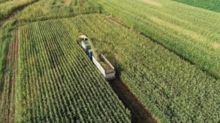 Tarlalardaki izinsiz yapılar bir ay içinde yıkılacak