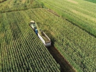 Tarlalardaki izinsiz yapılar bir ay içinde yıkılacak