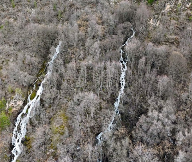 Mevsimsel doğa olayı: Sadece 15 gün sürüyor, kaynağı bulunamıyor...