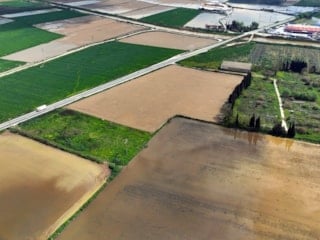 İzmir'de sağanak: Tarım arazileri sular altında