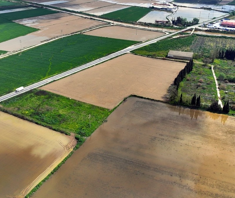 İzmir'de sağanak: Tarım arazileri sular altında