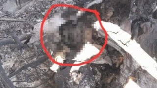 İran'dan düşürülen uçakta ABD askerine ait vücut parçası bulunduğu iddiası