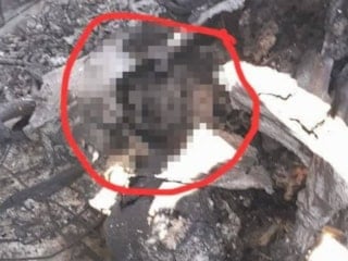 İran'dan düşürülen uçakta ABD askerine ait vücut parçası bulunduğu iddiası