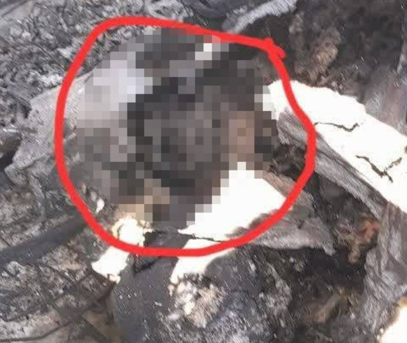 İran'dan düşürülen uçakta ABD askerine ait vücut parçası bulunduğu iddiası