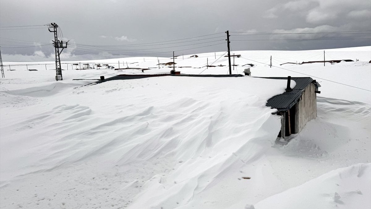 Ardahan'da yayla evleri kara gömüldü
