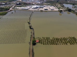 Manisa'da sağanak sonrası akarsular taştı: Tarım arazileri sular altında kaldı