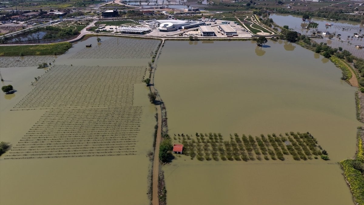 Manisa'da sağanak sonrası akarsular taştı: Tarım arazileri sular altında kaldı