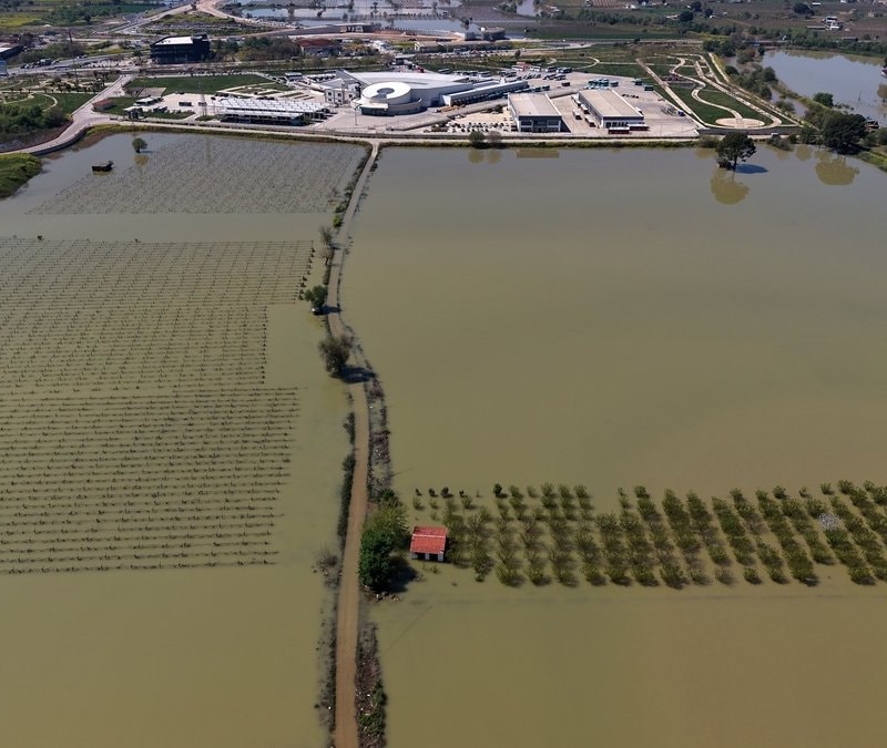 Manisa'da sağanak sonrası akarsular taştı: Tarım arazileri sular altında kaldı